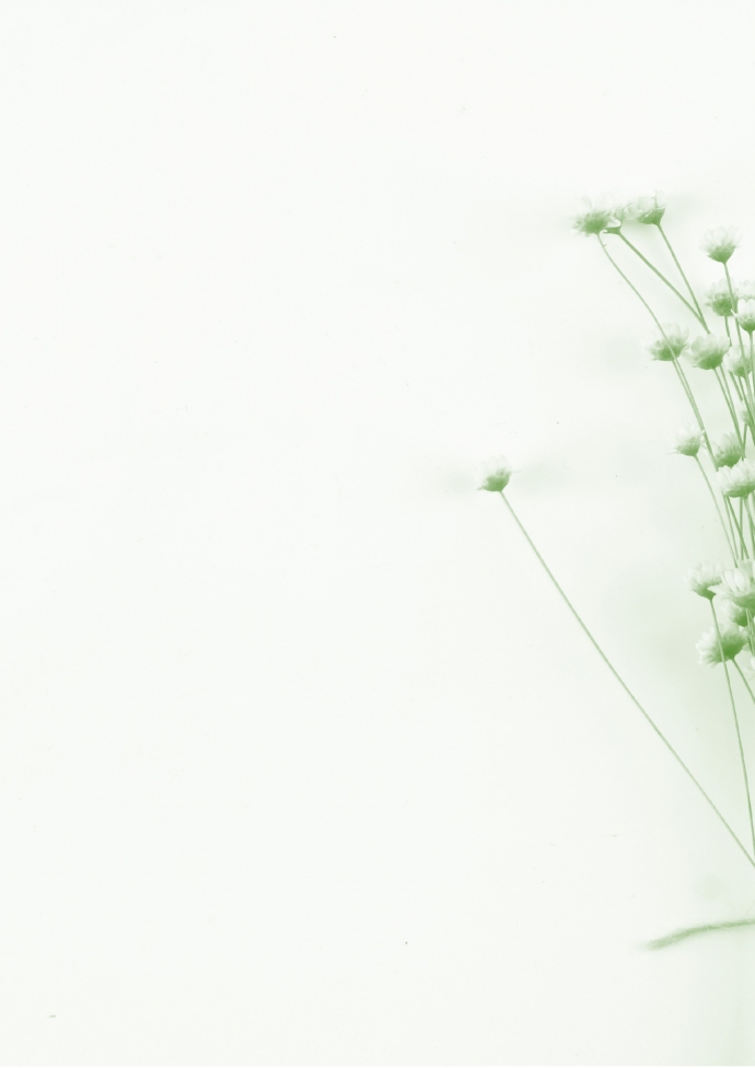 小清新綠色鮮花信紙