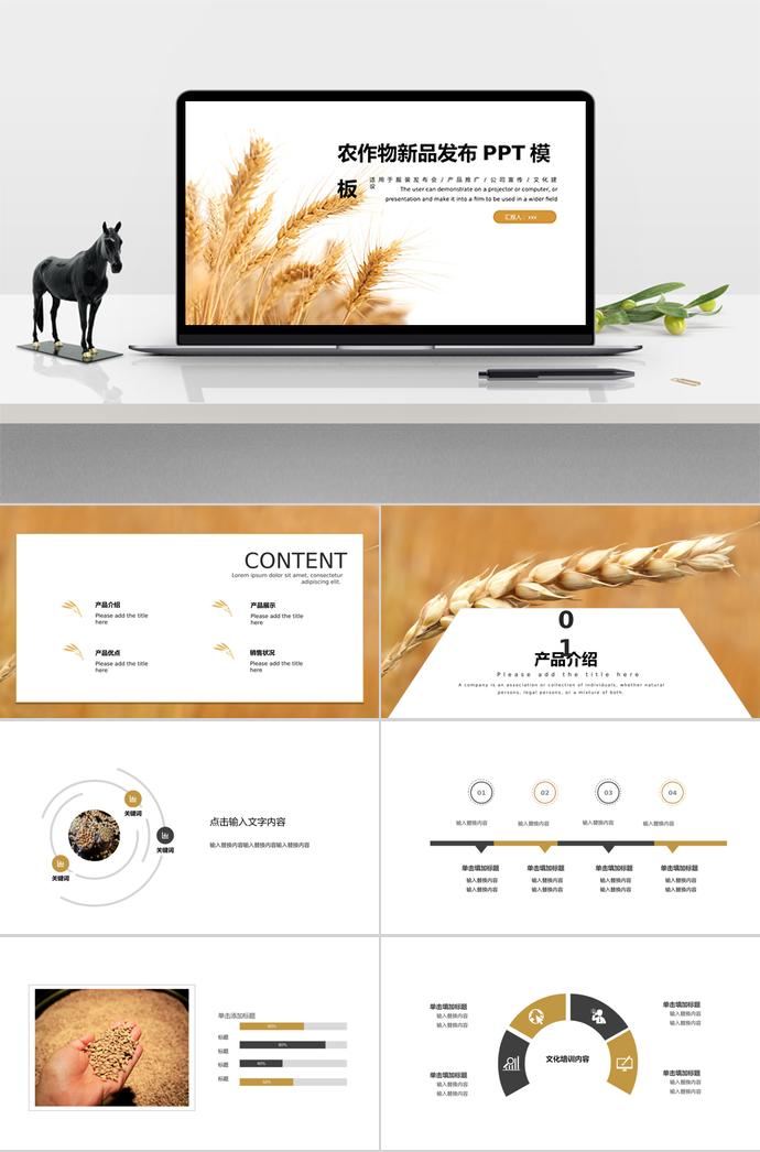 創(chuàng)意稻谷風(fēng)農(nóng)作物新品發(fā)布PPT模板