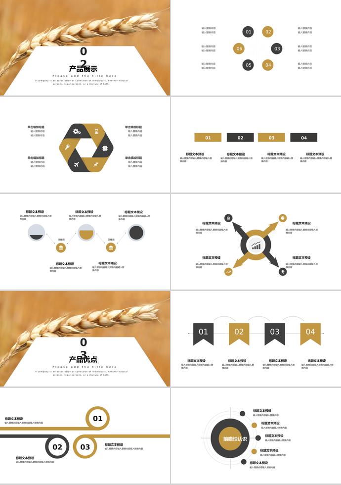 創(chuàng)意稻谷風(fēng)農(nóng)作物新品發(fā)布PPT模板-1