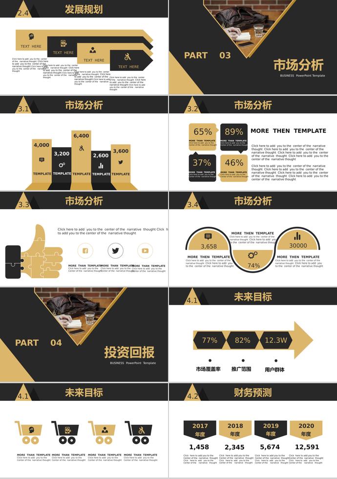 棕黃分明商業(yè)計(jì)劃書-2