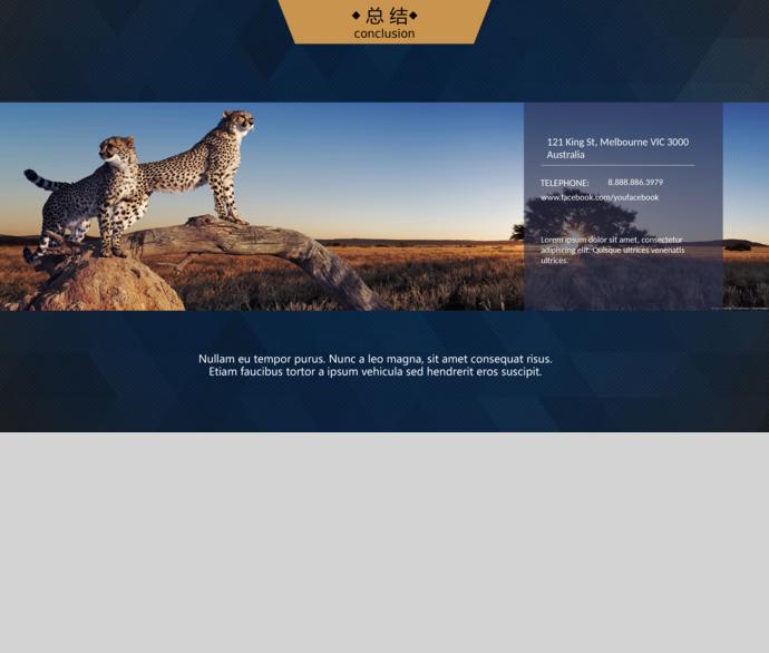 青色大氣創(chuàng)業(yè)計(jì)劃書-2