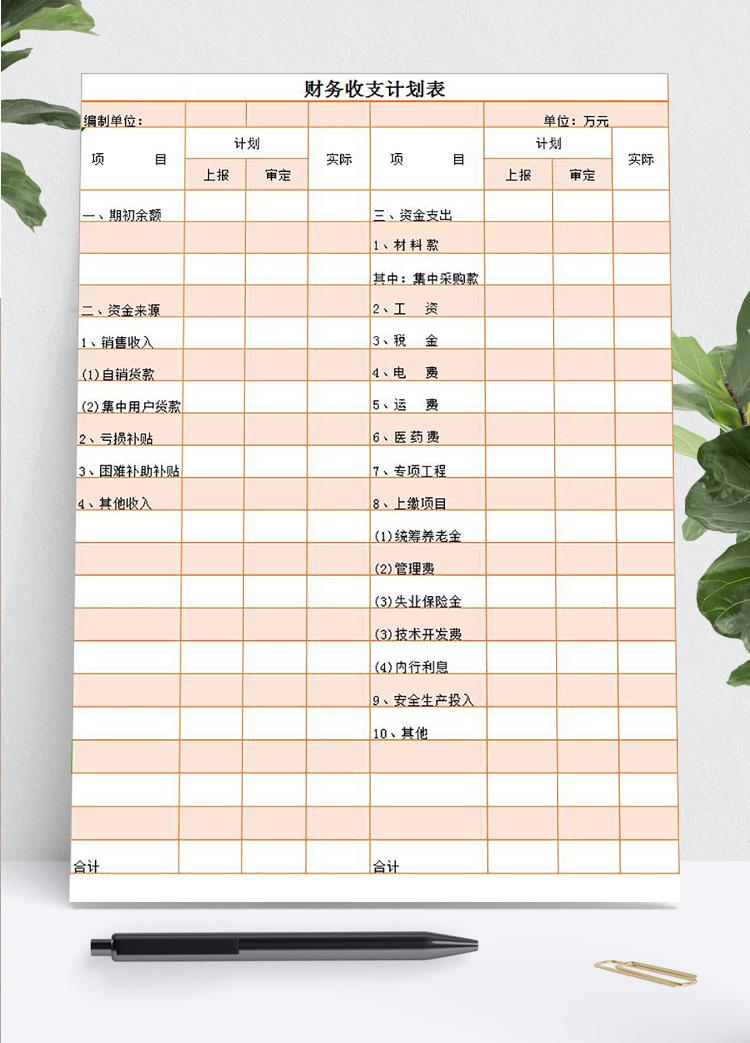 粉色財(cái)務(wù)收支計(jì)劃表