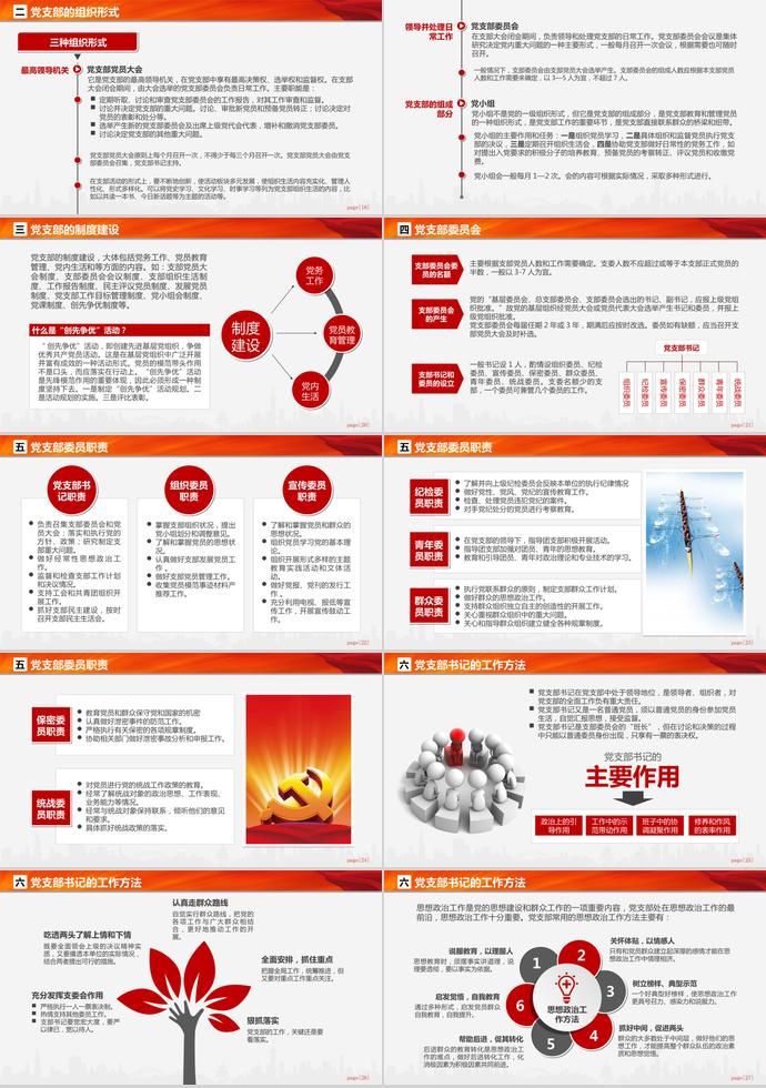 大紅風黨支部黨務(wù)工作知識培訓課程PPT模板-2