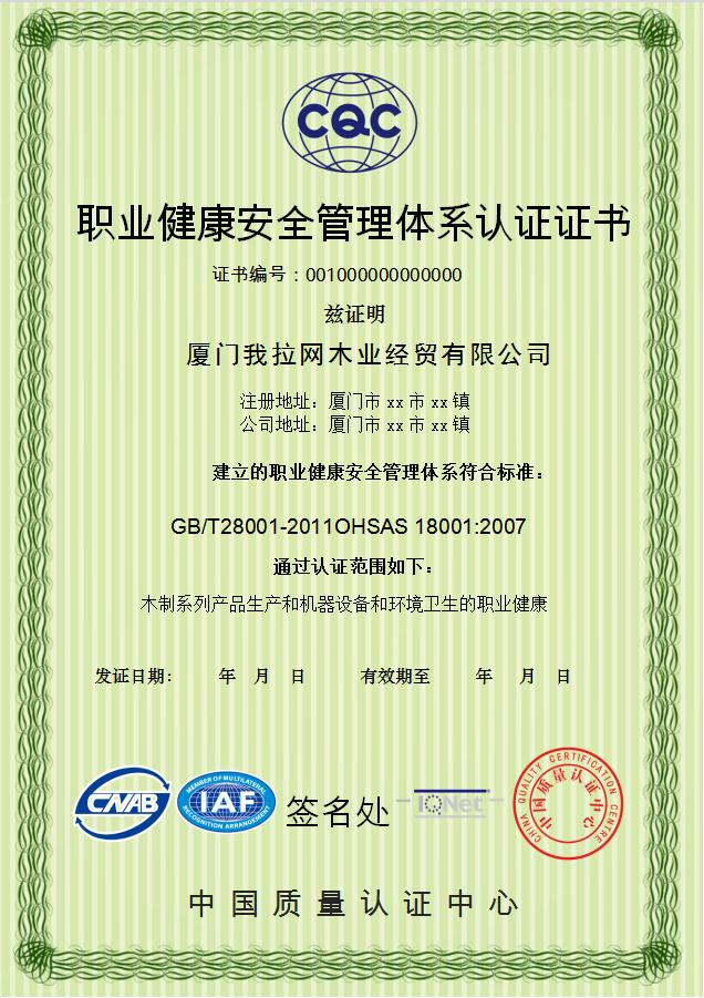 職業(yè)健康安全管理體系認證證書Word模板