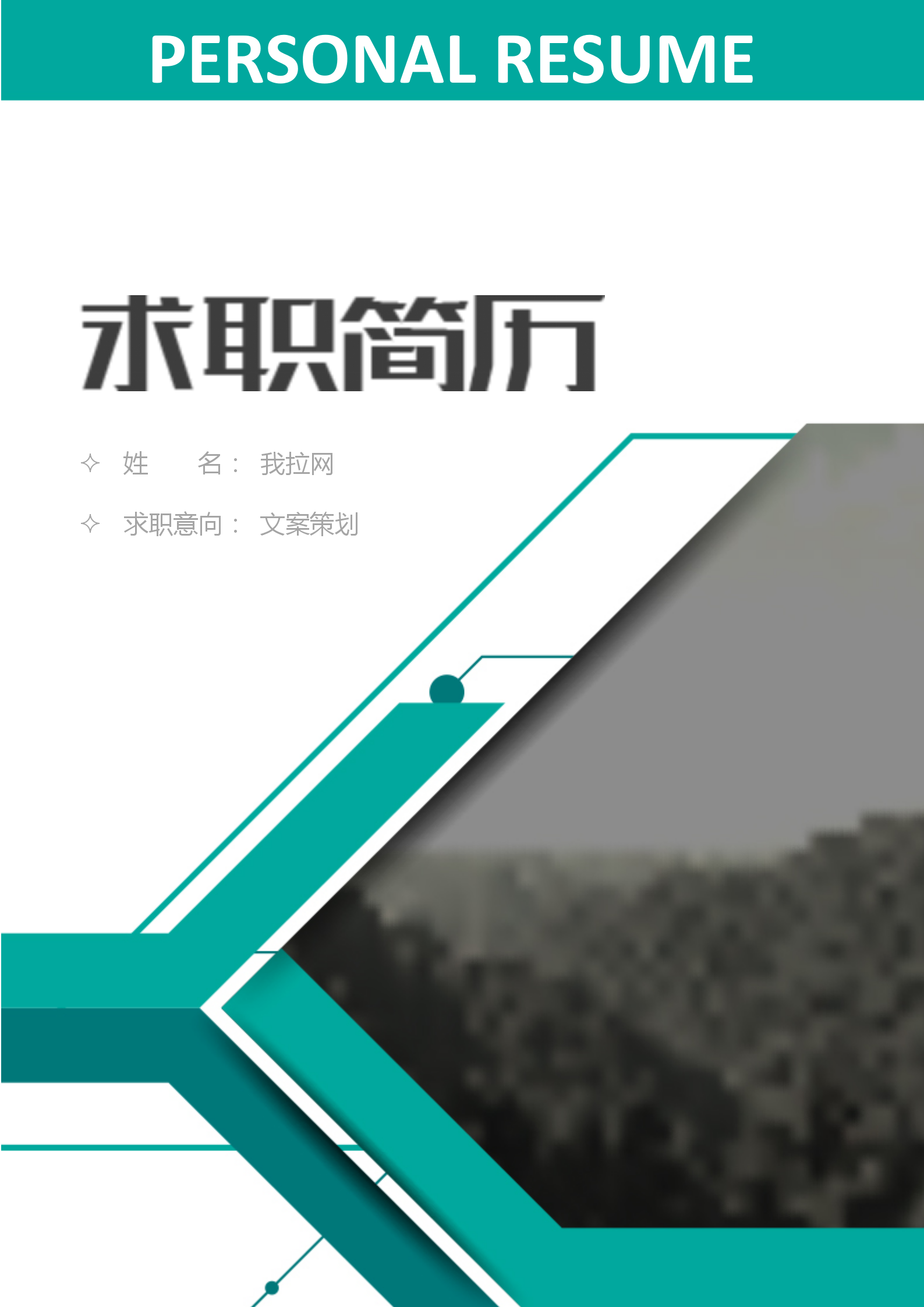 大氣商務(wù)文案策劃求職簡(jiǎn)歷