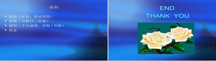 薪酬制度與體系設(shè)計(jì)PPT模板-4