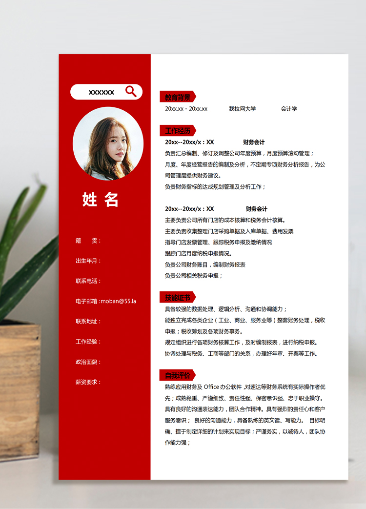中國紅簡潔風(fēng)財務(wù)審計個人簡歷模板