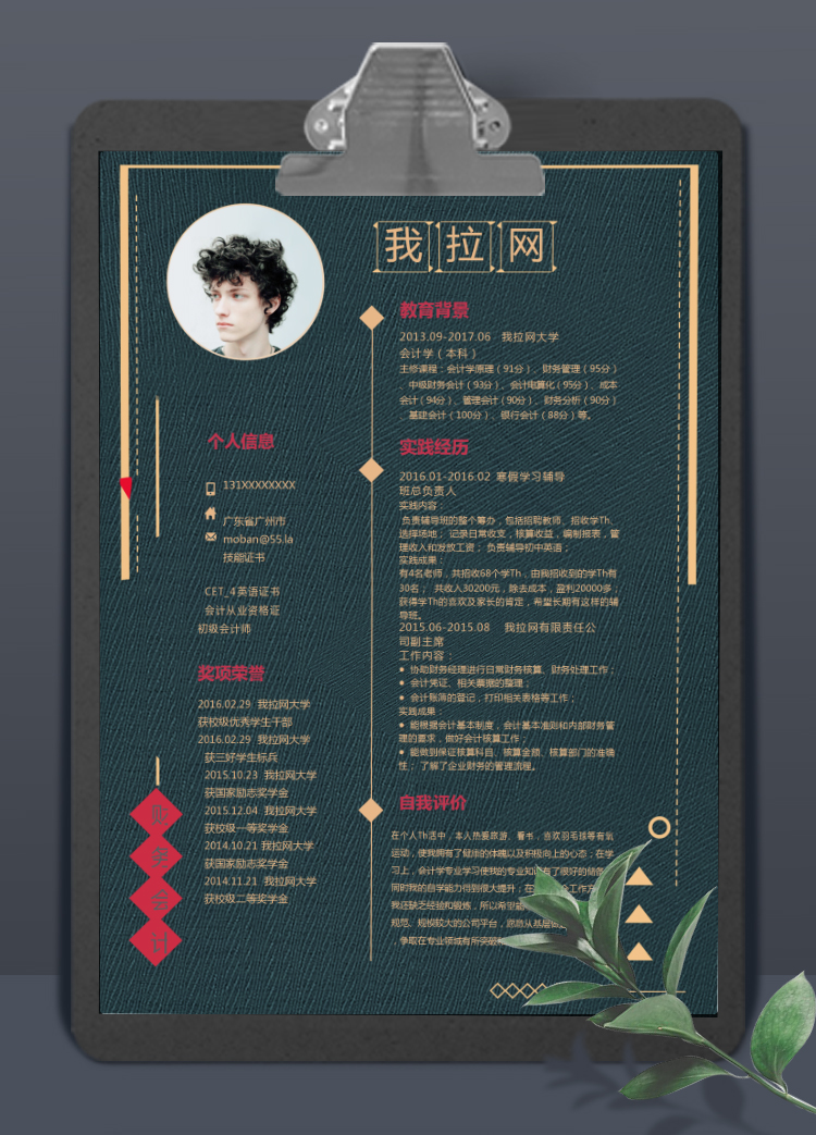 金色高端風(fēng)格財(cái)務(wù)會計(jì)個(gè)人簡歷模板