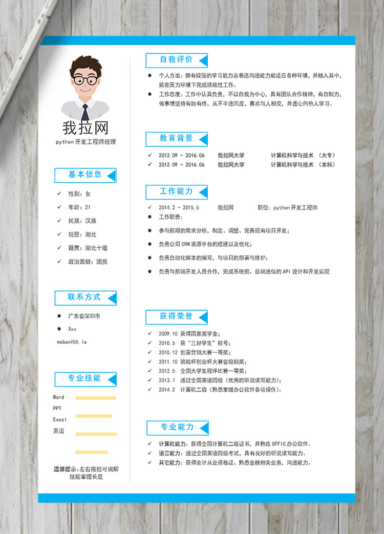 淡藍(lán)python開(kāi)發(fā)工程師經(jīng)理簡(jiǎn)歷模板-1