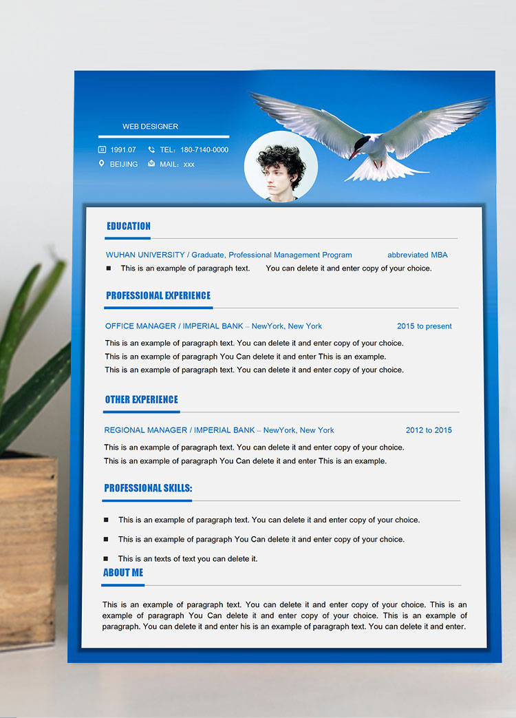 藍色大氣網(wǎng)頁設(shè)計師英文簡歷模板