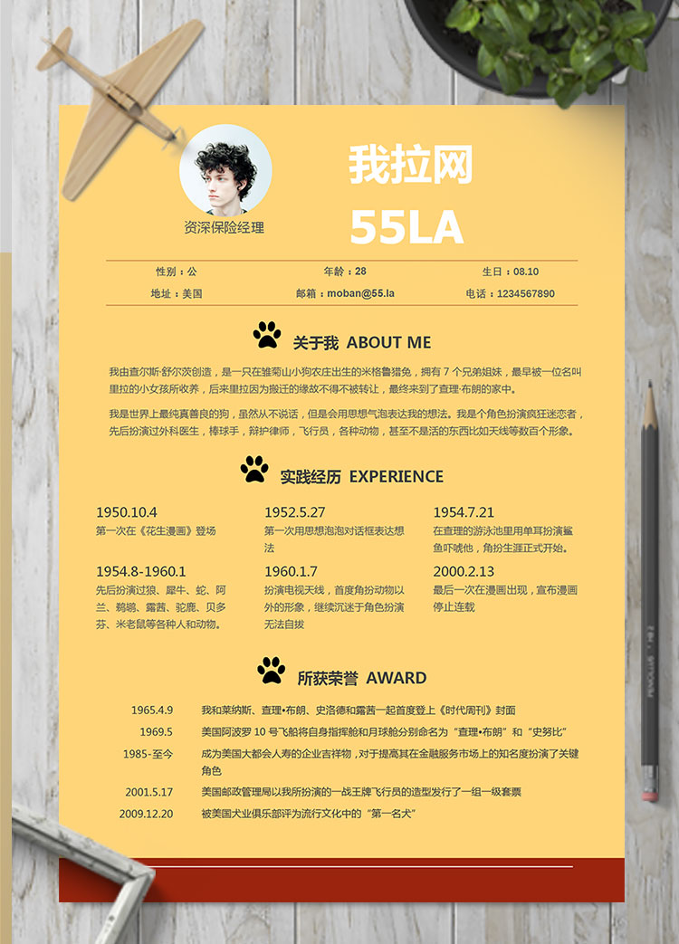 玉米黃精美風資深保險員簡歷模板