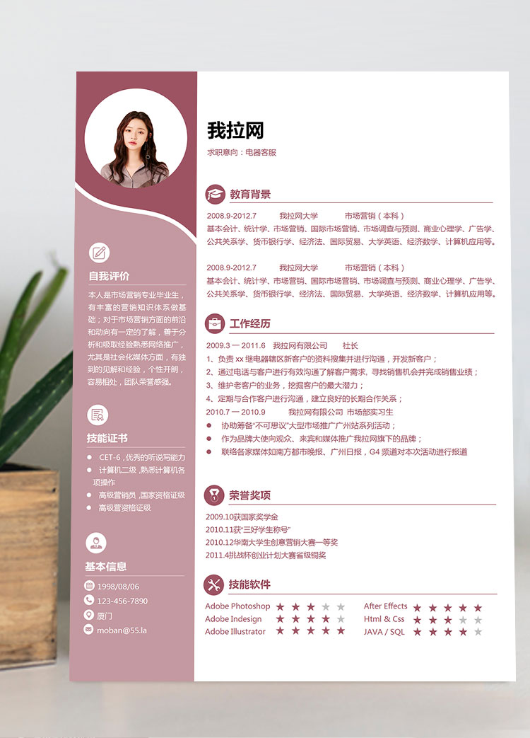 粉紅色時(shí)尚創(chuàng)意風(fēng)電器客服簡(jiǎn)歷模板