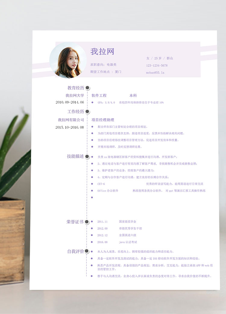 淺紫色創(chuàng)意風(fēng)電器客服簡歷模板