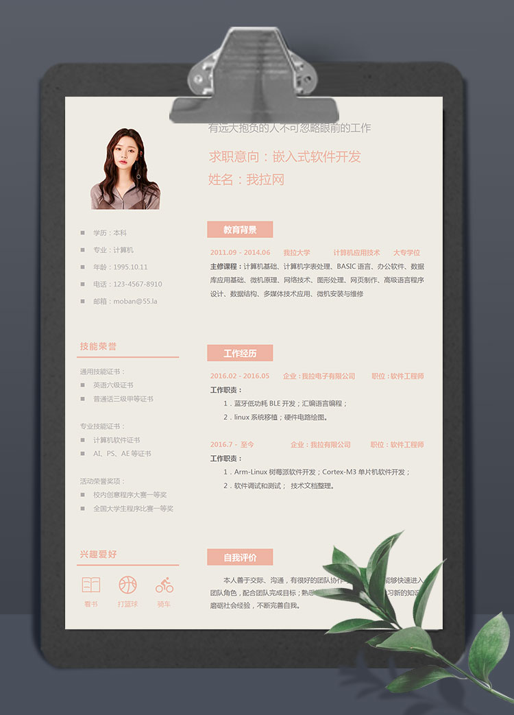 淺色精美風(fēng)嵌入式軟件開(kāi)發(fā)簡(jiǎn)歷模板