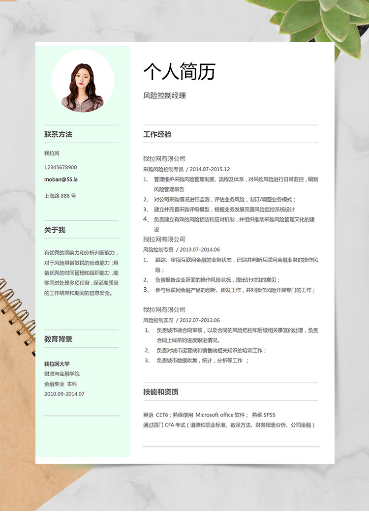 淡綠色清新風險控制經理簡歷模板