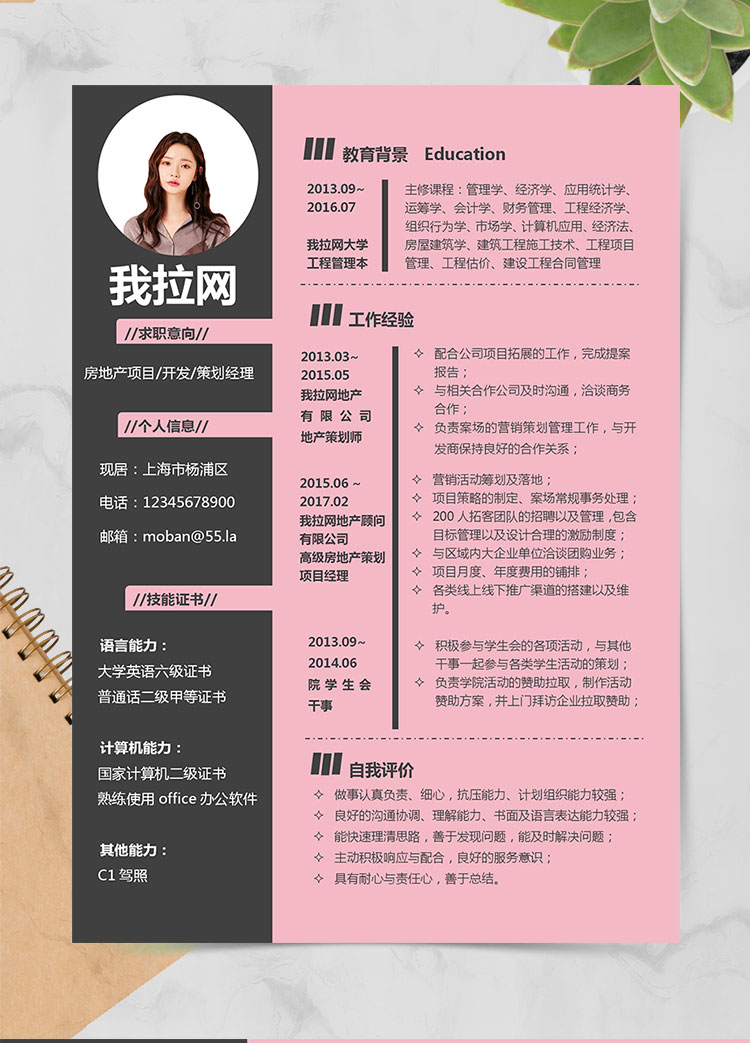 粉色系創(chuàng)意風房地產策劃經(jīng)理簡歷