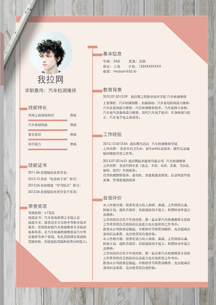 淺粉色個性風汽車檢測維修簡歷模板-1