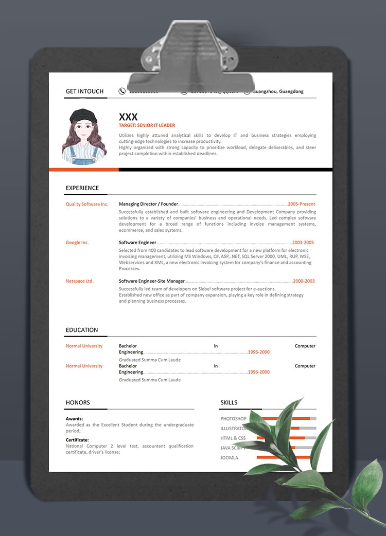 雙色線條創(chuàng)意IT主管英文簡(jiǎn)歷