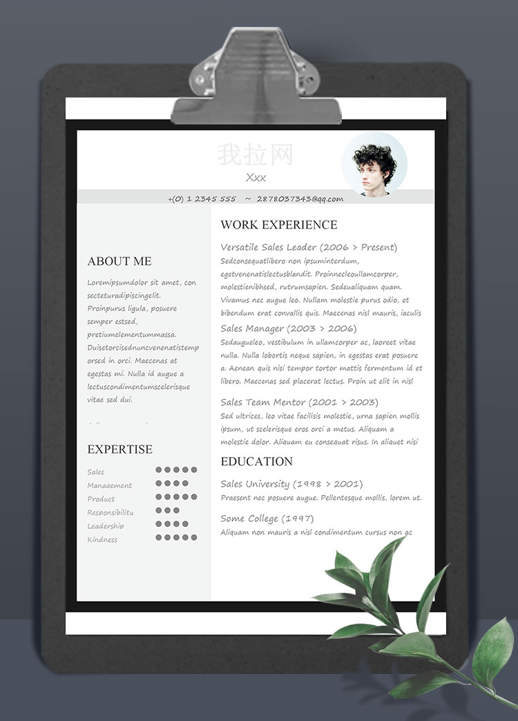 灰色大氣通用英文簡歷