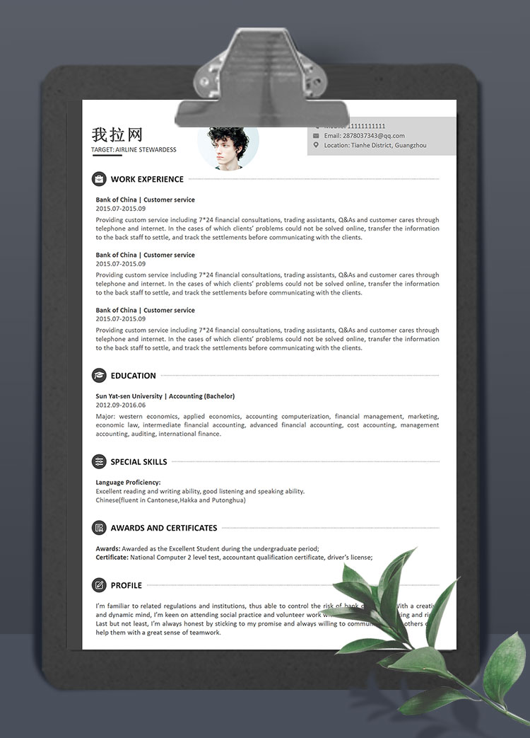 灰色經(jīng)典風(fēng)格空姐英文簡歷