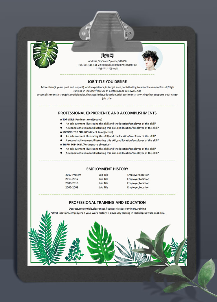 淡綠色芭蕉葉通用英文簡歷