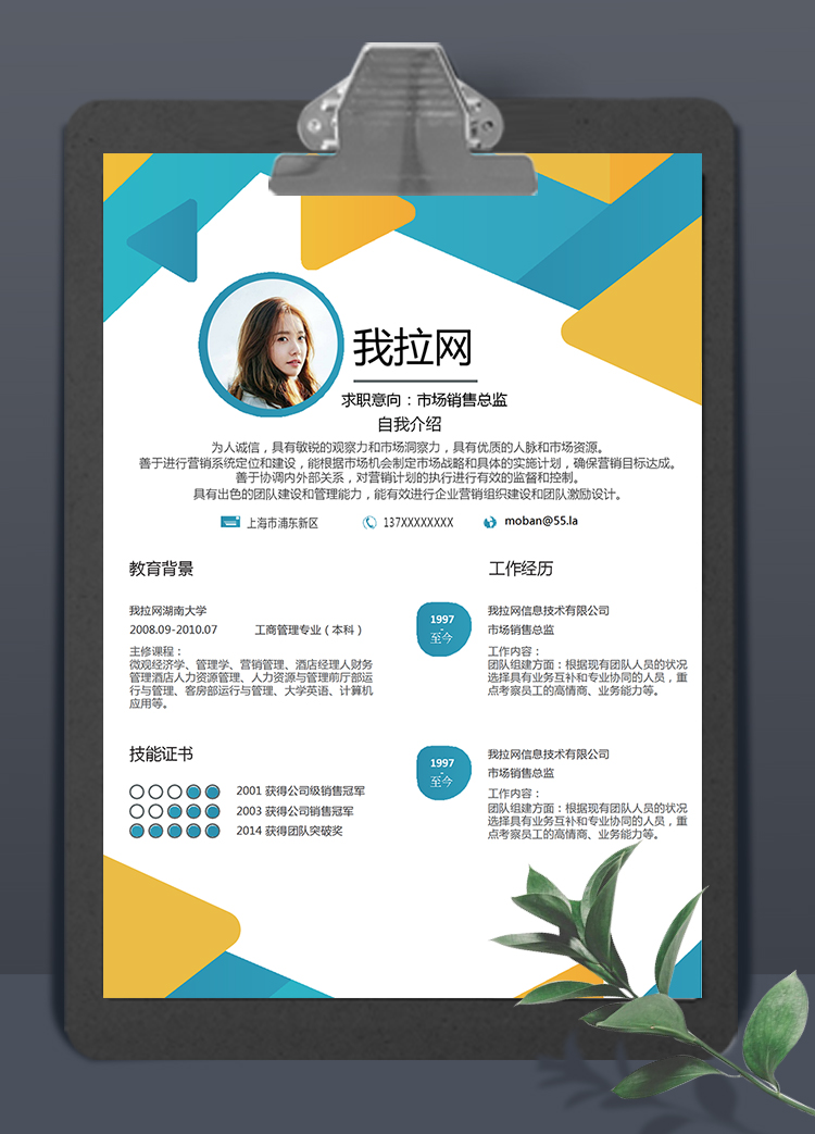 彩色幾何風(fēng)格市場銷售總監(jiān)個人簡歷模板