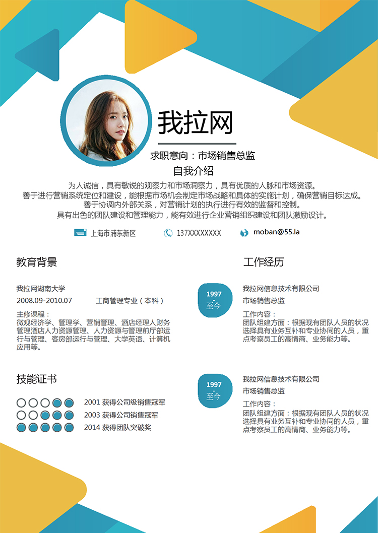 彩色幾何風(fēng)格市場銷售總監(jiān)個人簡歷模板-1