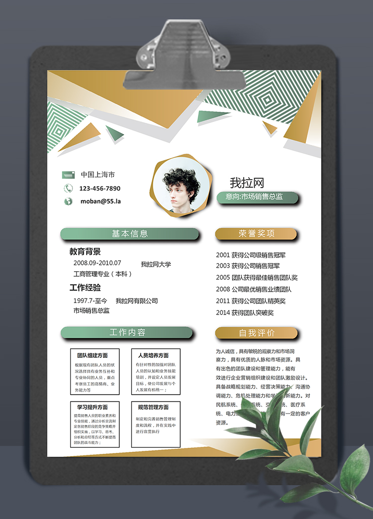 多彩創(chuàng)意市場(chǎng)銷售總監(jiān)求職簡(jiǎn)歷模板