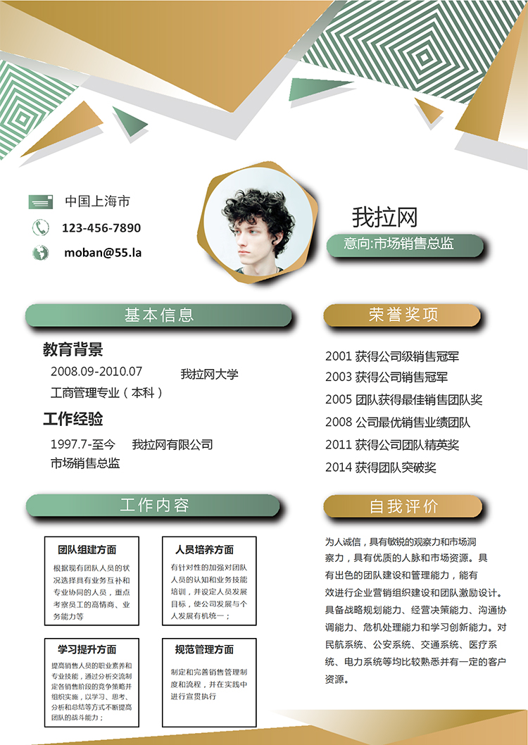 多彩創(chuàng)意市場(chǎng)銷售總監(jiān)求職簡(jiǎn)歷模板-1