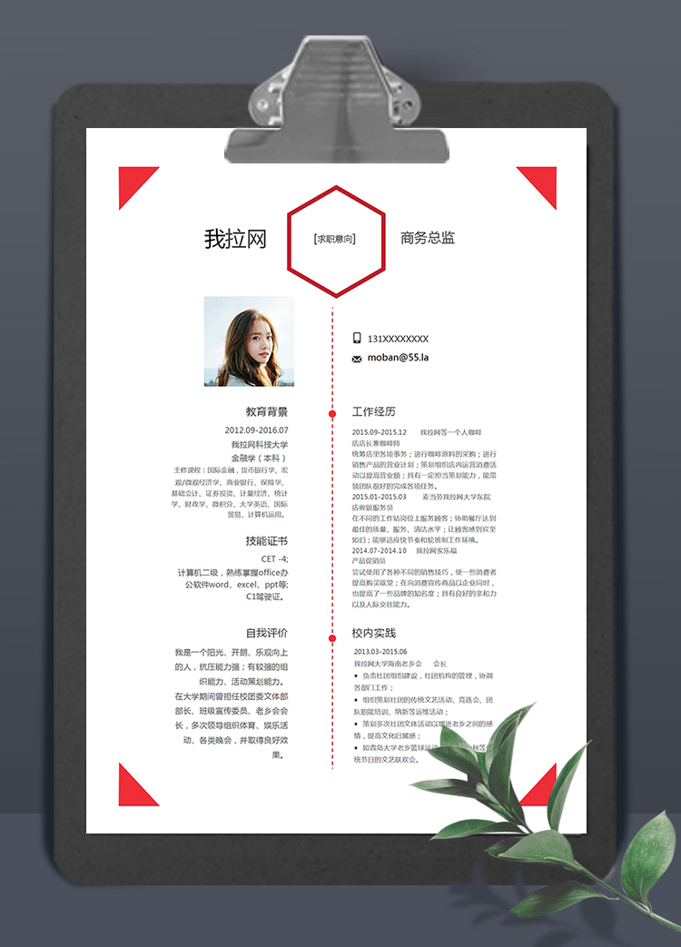 紅色簡約大氣風(fēng)格商務(wù)總監(jiān)簡歷模板