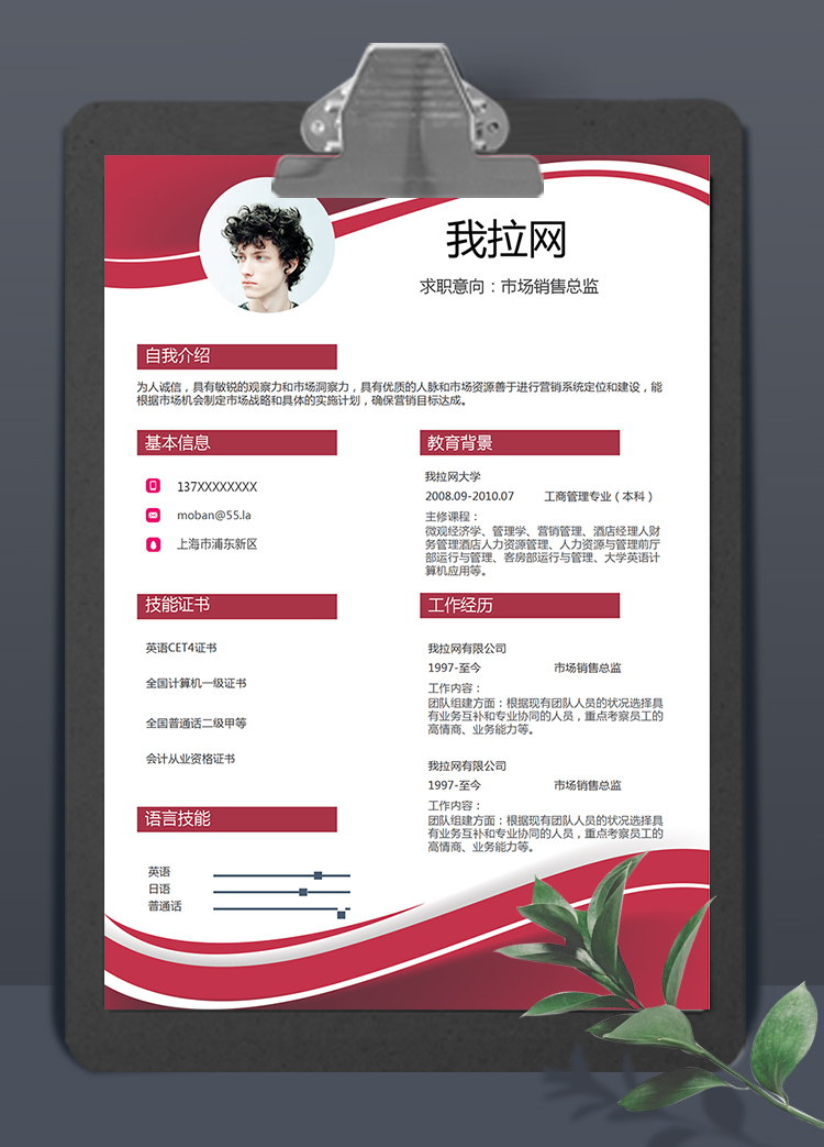 紅色曲線風(fēng)格市場銷售總監(jiān)求職簡歷模板