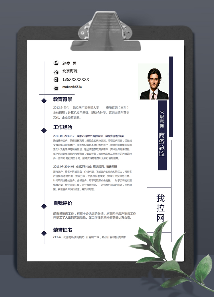 簡(jiǎn)潔美觀風(fēng)格商務(wù)總監(jiān)個(gè)人簡(jiǎn)歷模板