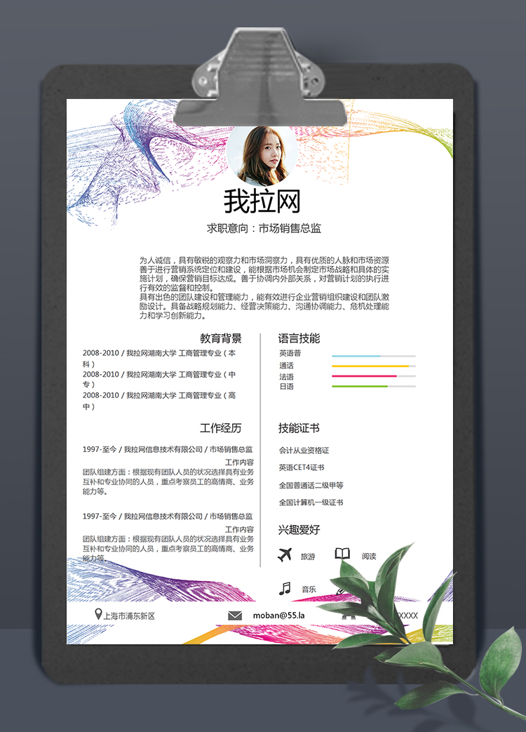 簡(jiǎn)約彩線風(fēng)市場(chǎng)銷售總監(jiān)個(gè)人簡(jiǎn)歷模板