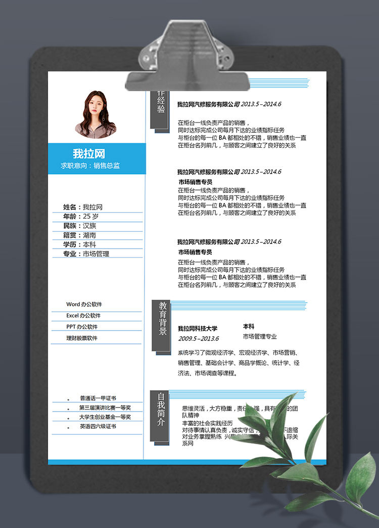 簡約灰藍(lán)線條銷售總監(jiān)簡歷求職簡歷Word模板