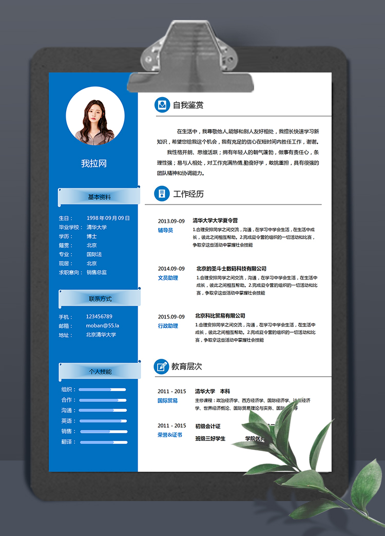 藍色簡約大氣銷售總監(jiān)求職簡歷模板