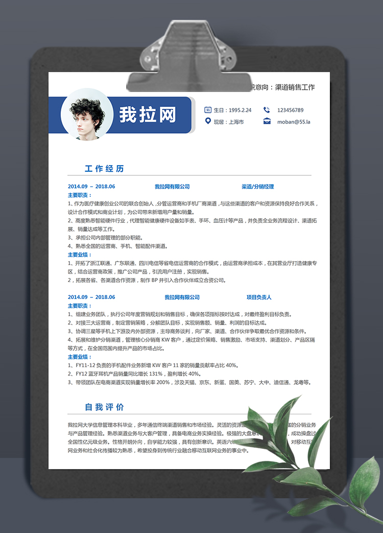 藍色時尚大氣渠道銷售3到5年工作經(jīng)驗簡歷模板