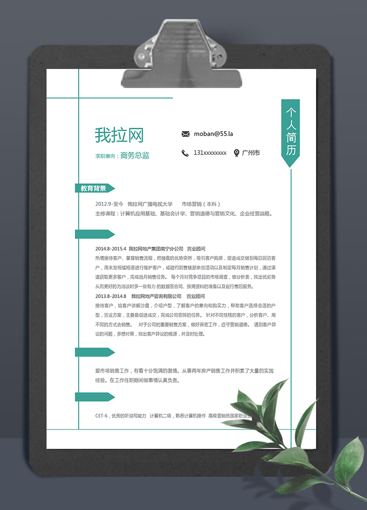 綠線條簡潔大方風格商務總監(jiān)簡歷模板