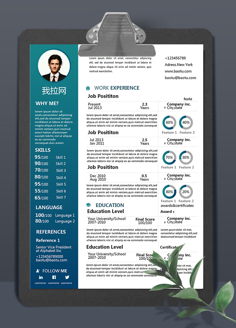 墨綠商務(wù)風(fēng)格商務(wù)總監(jiān)英文簡(jiǎn)歷模板