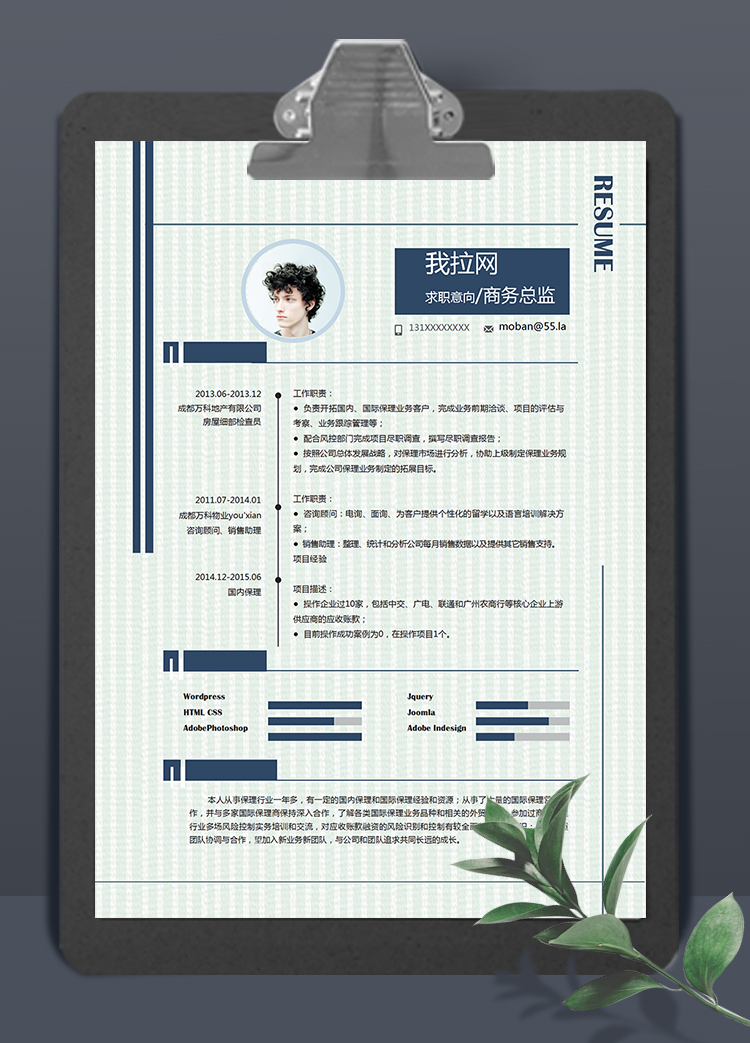 淺綠條紋風(fēng)格商務(wù)總監(jiān)個(gè)人求職簡(jiǎn)歷模板