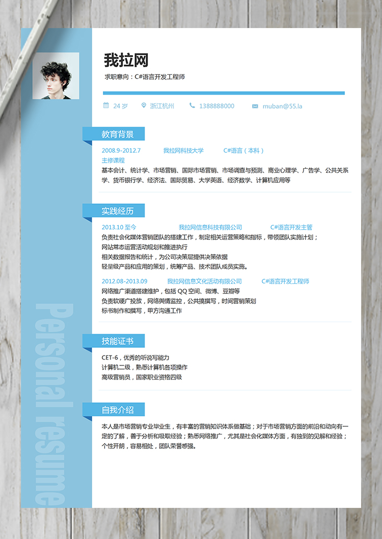 淡藍(lán)色優(yōu)雅簡(jiǎn)約C#語言開發(fā)工程師簡(jiǎn)歷-1