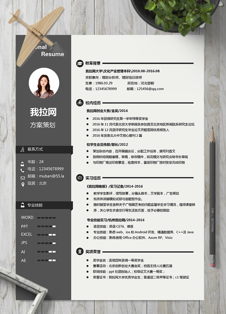 穩(wěn)重大氣商務(wù)風(fēng)方案策劃活動(dòng)策劃簡(jiǎn)歷