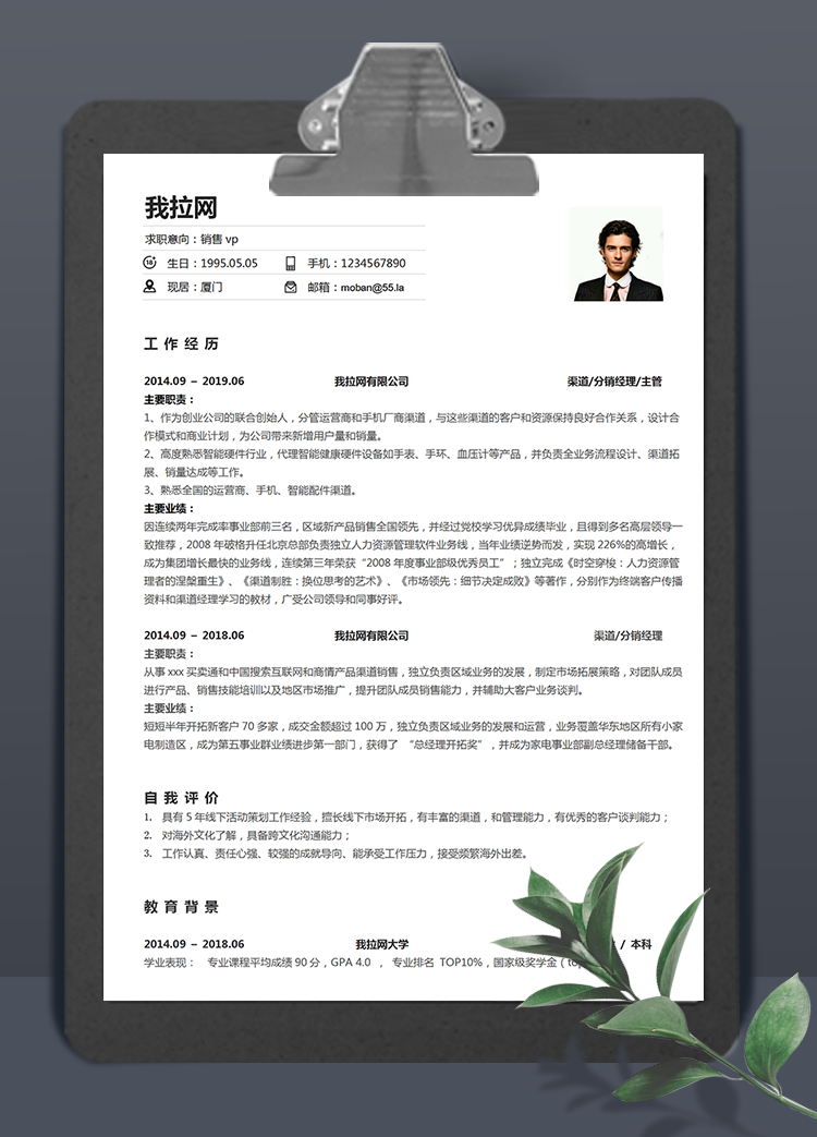 白色簡單風(fēng)銷售vp個人簡歷模板