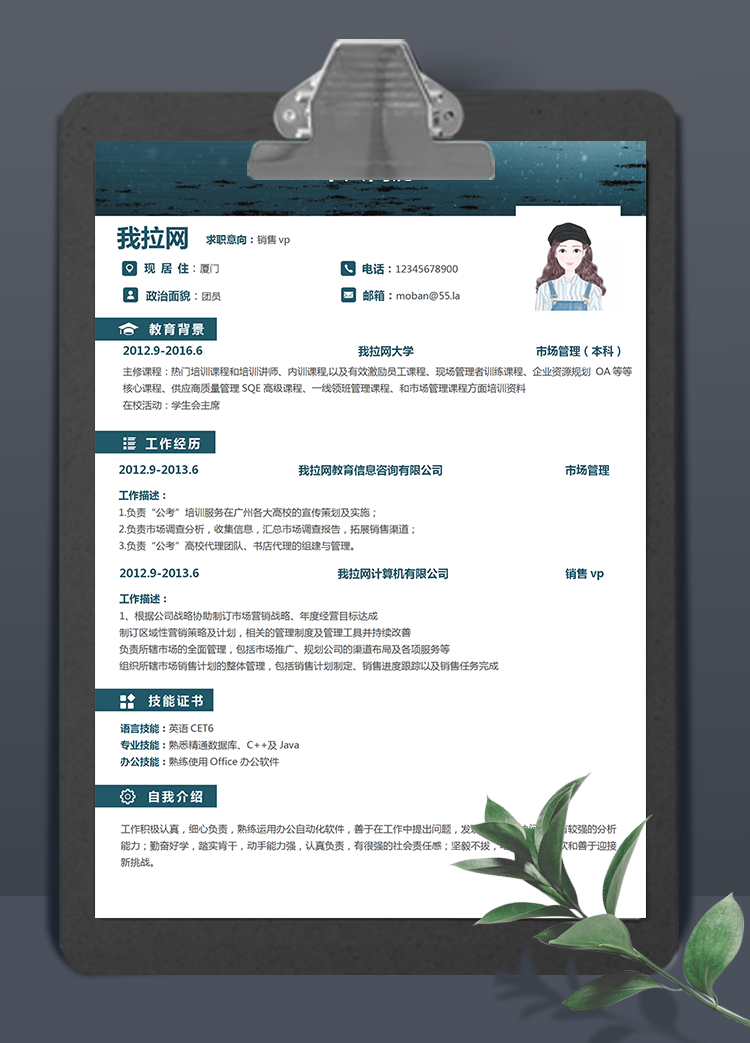 藍灰色銷售vp個人簡歷模板