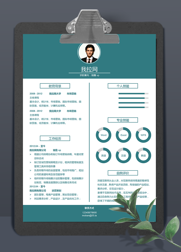 綠色系簡潔風(fēng)銷售vp個人簡歷模板
