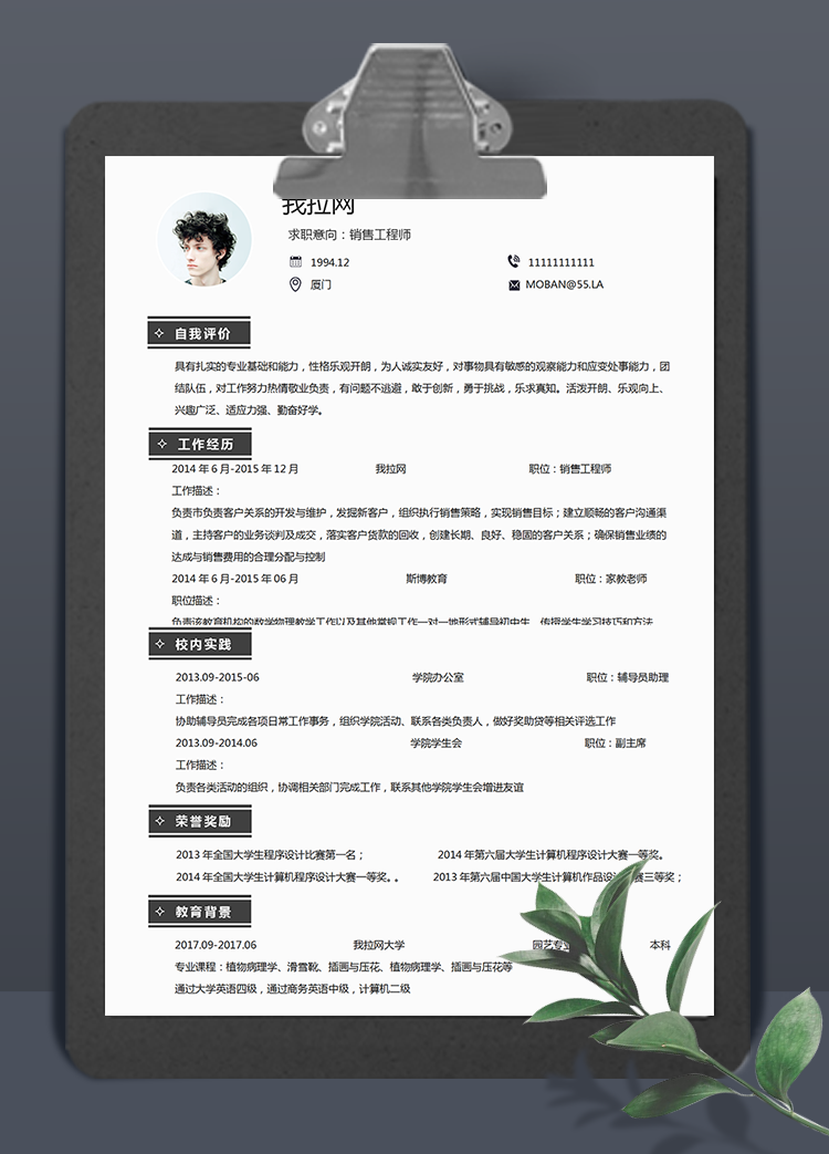 簡約風(fēng)銷售工程師word簡歷模板
